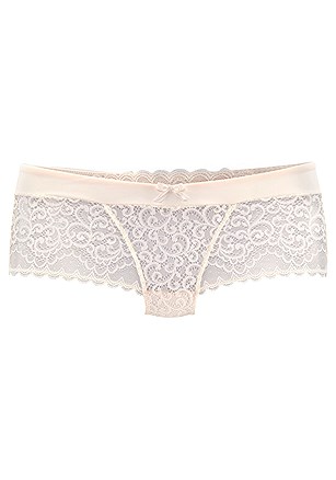Sheer Lace Hipster Panty product image (X07027POWD_00)